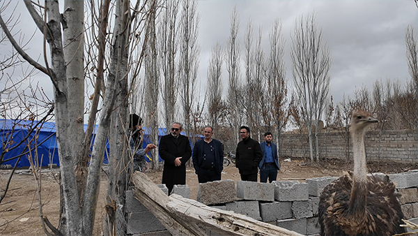 سفر مدیرکل کمیته امداد استان اردبیل به ارشق