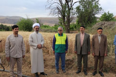 گزارش تصویری- برگزاری آیین خدا قوت کشاورز و جشن برداشت گندم در خراسان شمالی- 7 تیرماه 1403 