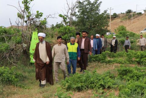 گزارش تصویری- برگزاری آیین خدا قوت کشاورز و جشن برداشت گندم در خراسان شمالی- 7 تیرماه 1403 