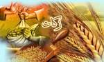 پرداخت بیش از یک میلیارد تومان زکات توسط نیکوکاران فریدونشهری در سه‌ماهه نخست سال