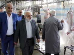 آیین پویش ملی  " نذر قربانی " با حضور رئیس کمیته امداد 1404/03/16