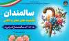 ۲۲ هزار خانوار سالمند در خراسان جنوبی زیر چتر حمایتی کمیته امداد