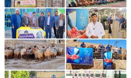 کمیته امداد خراسان‌شمالی در طرح نذر قربانی ۴۰۴ راس دام ذبح کرد