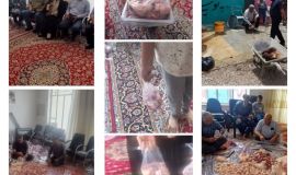 ذبح 52 راس دام سبک و یک راس دام سنگین در پویش نذر قربانی رضویه 