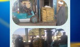 اهدای یک تن سیب‌زمینی به کمیته امداد فریمان توسط خیر زکات