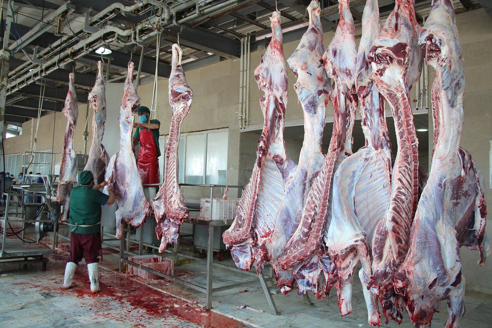 ذبح دام قربانی در قربانگاه مرکزی کمیته امداد سیستان‌وبلوچستان