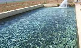 یک کارآفرین کلاتی با پرورش ماهی برای ۱۰ نفر اشتغال ایجاد کرد