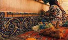 مدیر کل کمیته امداد استان خبر داد: