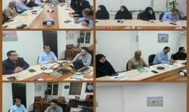 نشست تخصصی مدیر کل کمیته امداد استان بوشهر با امداد گران حوزه حمایت و سلامت خانواده استان