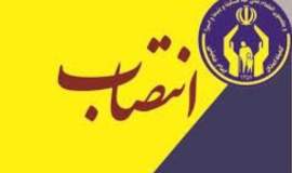 مدیرکل خدمات مددکاری کمیته امداد منصوب شد