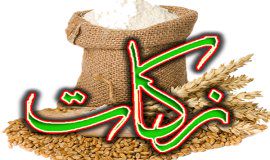 زکات هرمحله توسط معتمدین و شورای زکات همان روستا برای نیازمندان و پروژه های عمرانی هزینه می شود