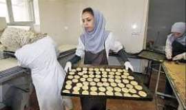 پشتکار و خلاقیت؛ راز موفقیت بانوی کارآفرین مشهدی در تولید شیرینی‌های خانگی