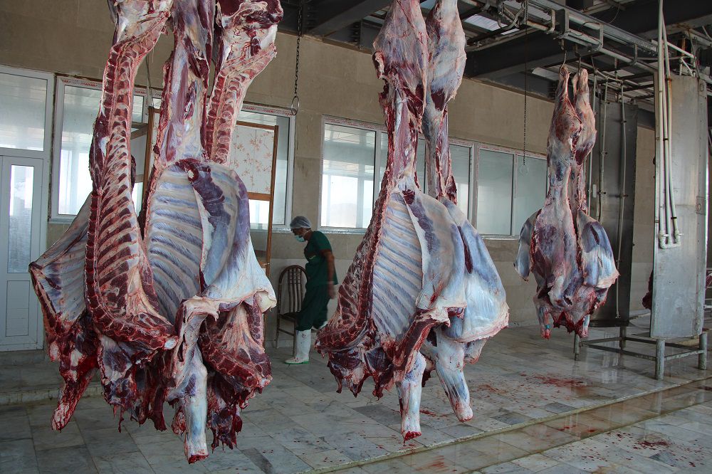 ذبح دام قربانی در قربانگاه مرکزی کمیته امداد سیستان‌وبلوچستان