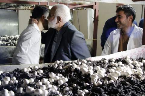 سفر رئیس کمیته امداد به استان زنجان 1404/09/12