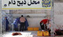 بازدید میدانی رئیس کمیته امداد از پایگاه‌های پویش نذر قربانی