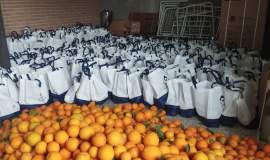 توزیع بیش از ۵ تن پرتقال میان مددجویان رشتخوار در آستانه شب یلدا