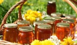 از کارگری ساختمانی تا رهبری زنبورداران خراسان؛ روایت تحول در صنعت عسل درگز 