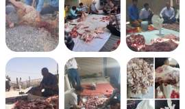 توزیع بیش از ۱۵ هزار پرس غذای گرم و قربانی ۳۰ رأس گوسفند در رضویه به مناسبت دهه ولایت