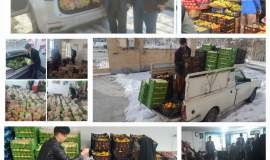 «یلدای مهربانی» با توزیع بیش از ۱۵۰۰ بسته یلدایی در رضویه مشهد
